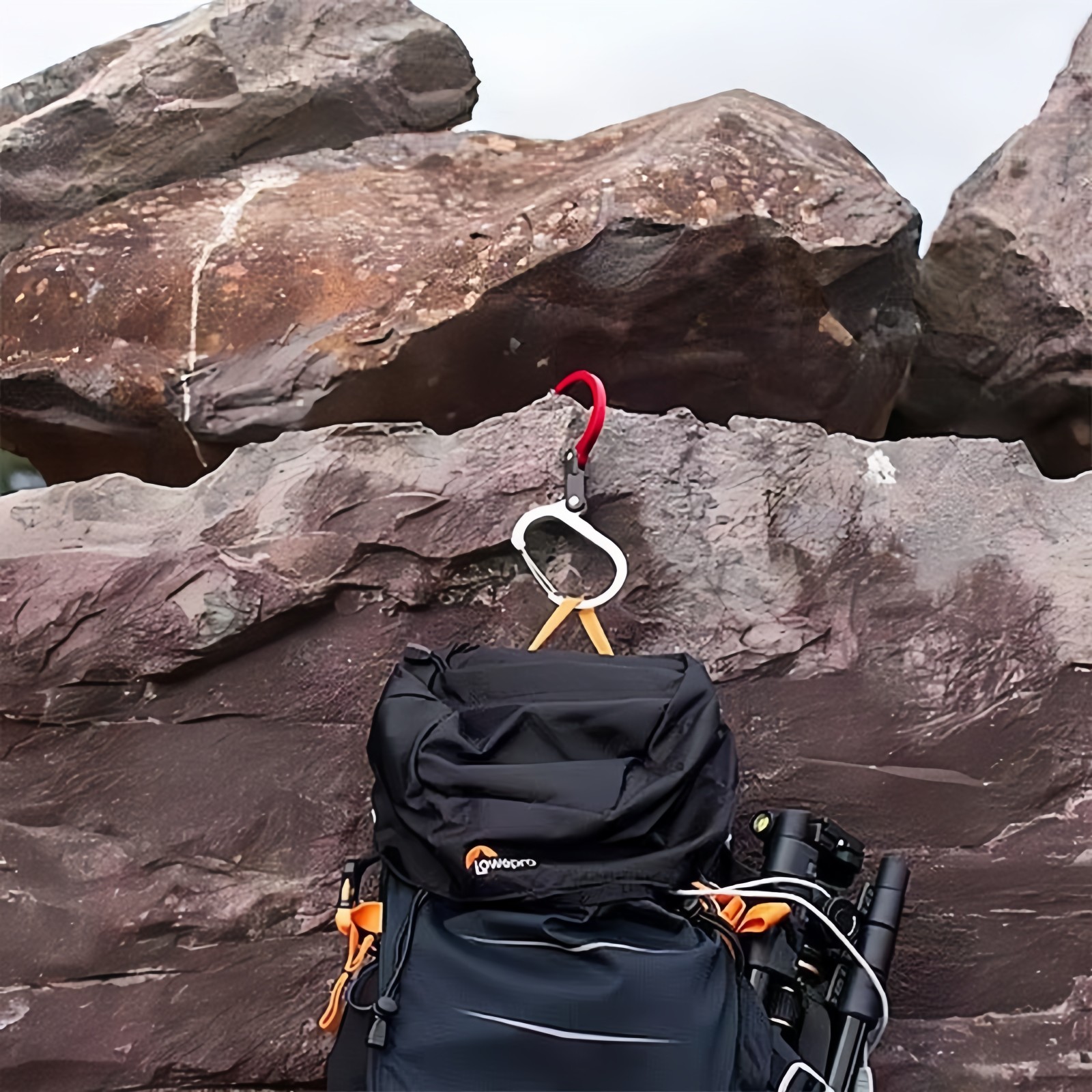 微信图片_20251201135234_279_8